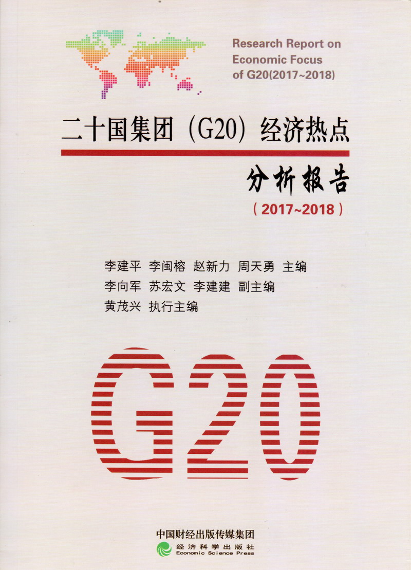 抠屄流水二十国集团（G20）经济热点分析报告（2017-2018）